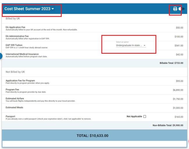 Example of a standard program cost sheet